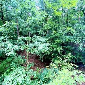 Forest - 23 Marca By Grand Apartament Sopot